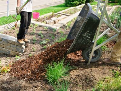 Full Landscaping Service