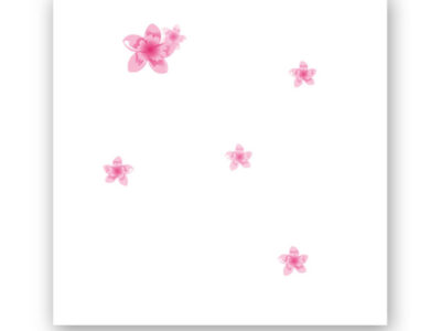 ติดตั้ง แผ่นฝ้าทีบาร์ พิมพ์ลาย เปเปอร์ทัช (PaperTouch) ตราช้าง ลาย ชวนชม