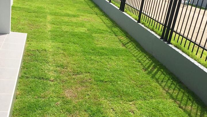 บริการตัดหญ้าและสวนรายเดือน เริ่มต้น 750 บาท/ครั้้ง