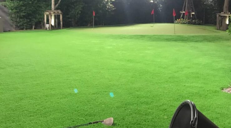 สนามหญ้าเทียมและกรีนพัตต์กอล์ฟในบ้าน