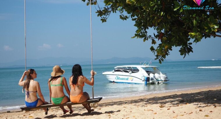 PhiPhi-Maya-Khai Island by Speedboat
